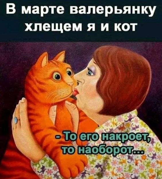  - 21  2022  11:11