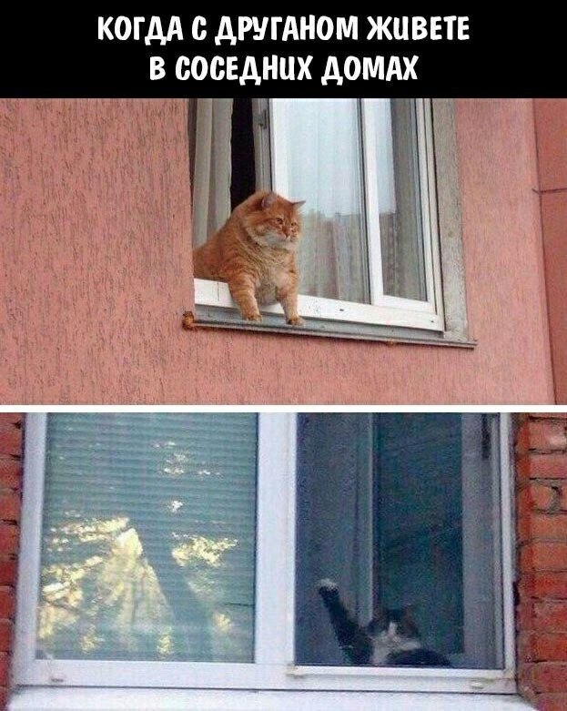    - 13  2022  09:39