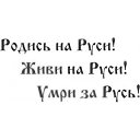 ���� ���������, ������, 49 ��� - ��������� 19 ������ 2022 � ������ ���� ����������