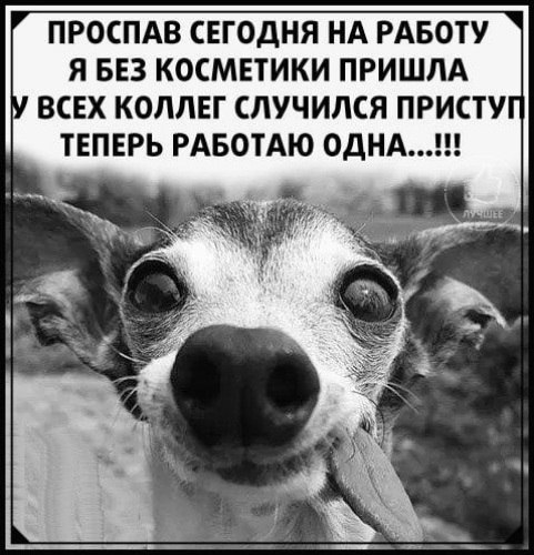  ! - 10  2022  11:03