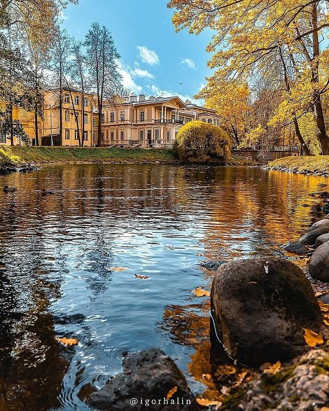 ���� ������� �.�. Igorhalin