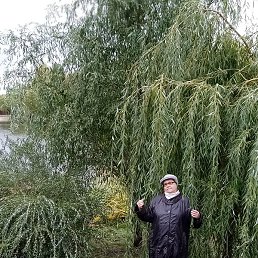 �������, ������, 62 ����