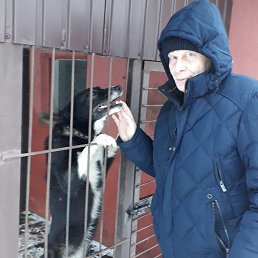 ���� ��������, ������, 63 ���� - ��������� 4 ������ 2023