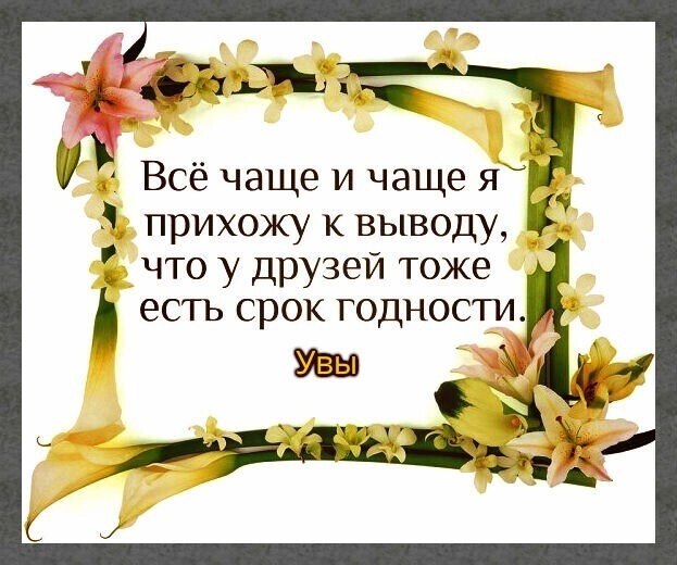 ☆ ☆ - 28  2022  12:42