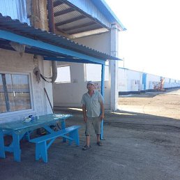 �������, ����������, 66 ���