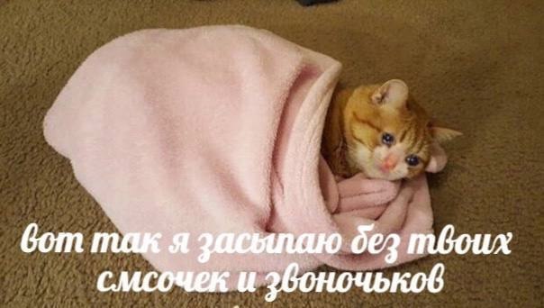    - 17  2022  12:15