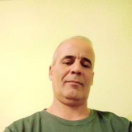 , 51 , 