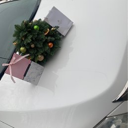 ���� ������, ������, 37 ��� - ��������� 1 ������ 2022