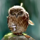 �) �� ������� ���� ����������