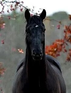 �������.. �� � ������... - 2