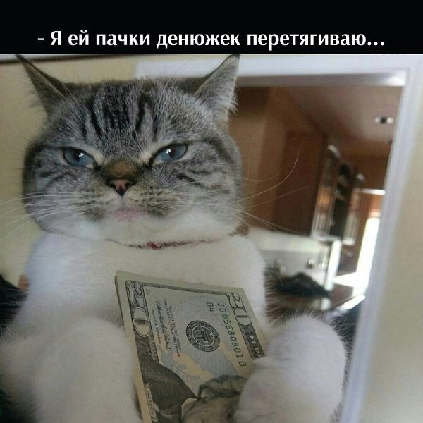 ��� ���� � ����� �� �� - 21 ������� 2022 � 13:33 - 4