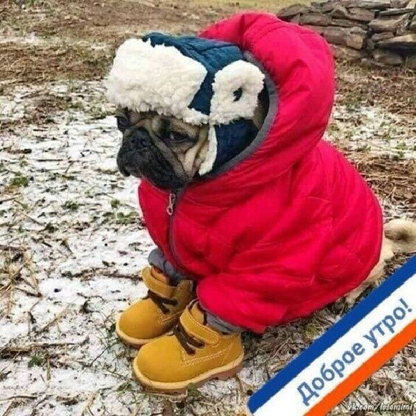 ***Victoria Viktorovna*** - 8  2022  04:32