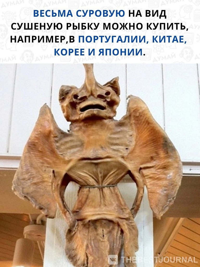       .,     - .   ... - 2