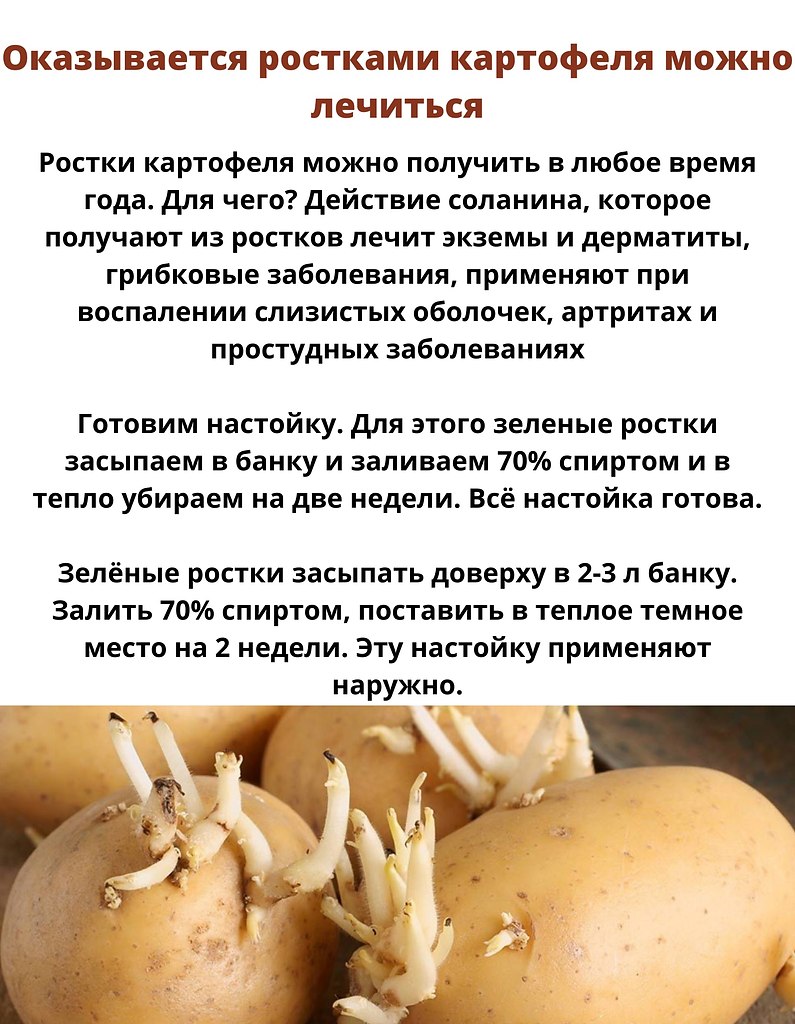 ece coaa, oyeoo  poco - oe eo e oe oe.
