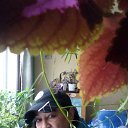���� ������, ��������, 68 ��� - ��������� 27 ������� 2022 � ������ ���� ����������