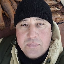 ������, ��������, 46 ���