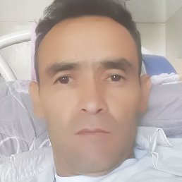 , , 49 
