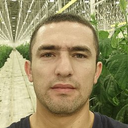 �����, ���������, 27 ���