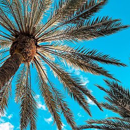 ���� ���, ����, 54 ���� - ��������� 9 ���� 2022