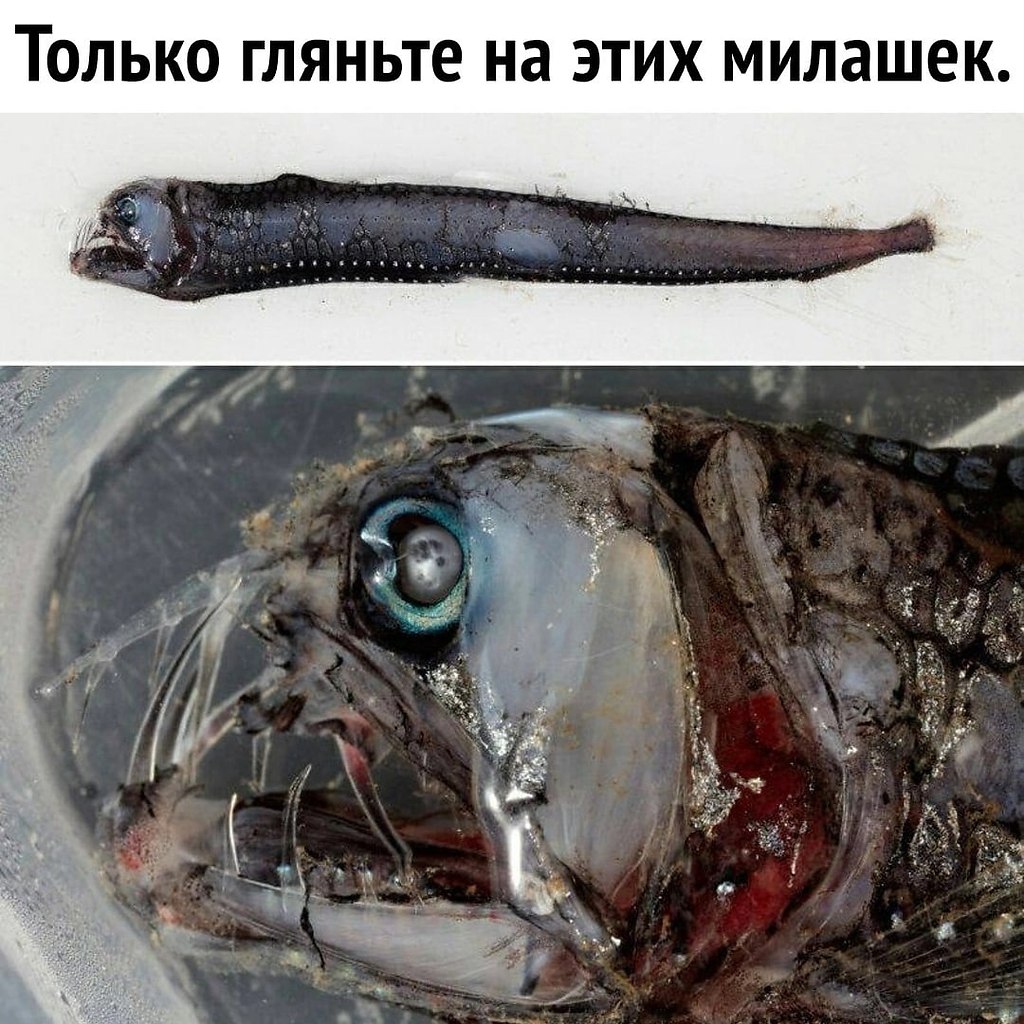    - 2