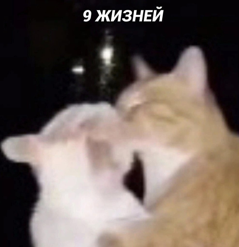       - 3