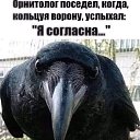  ,  -  20  2022    