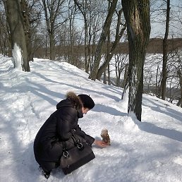 ��������, ������, 58 ���