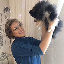 ���� �������, �������, 60 ��� - ��������� 22 ��� 2022 � ������ ���� ����������