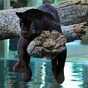 ���� Dima, ����� - ��������� 2 ������ 2023 � ������ ���� ����������