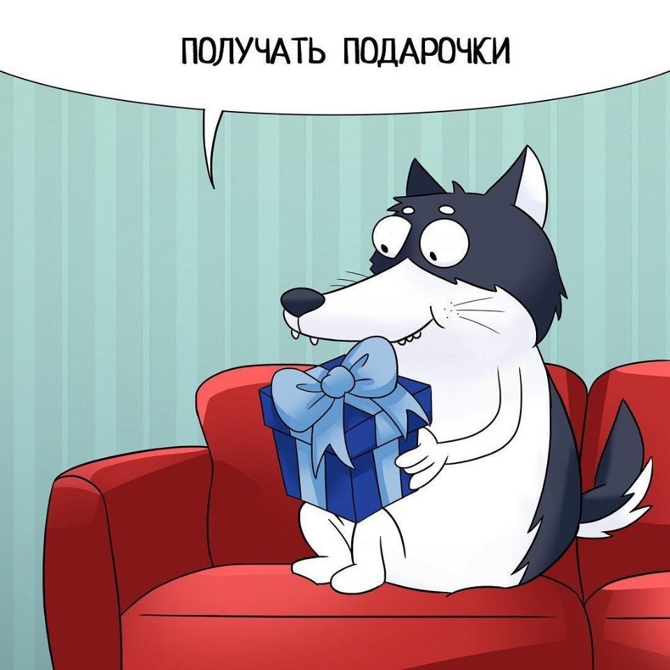         .     ,      - 7