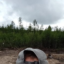 ���������, ������, 41 ���