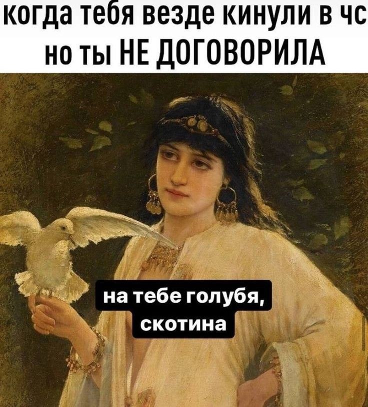   - 11  2023  22:43