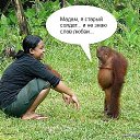 ���� ��������, ��������, 54 ���� - ��������� 9 ����� 2022 � ������ ���� ����������