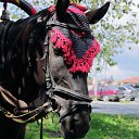 ���� ���������, �������� - ��������� 15 ������� 2023 � ������ ���������