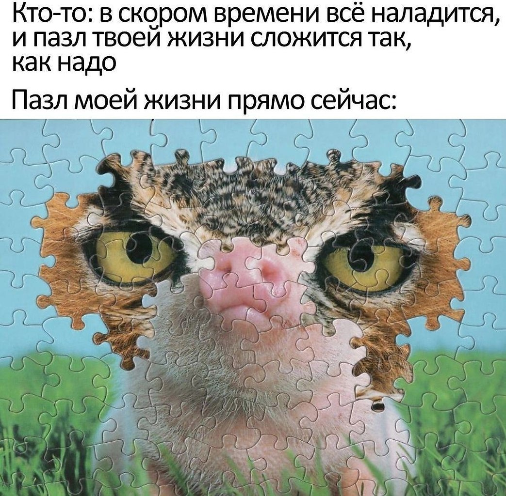   ,   ,     .   ,    ...