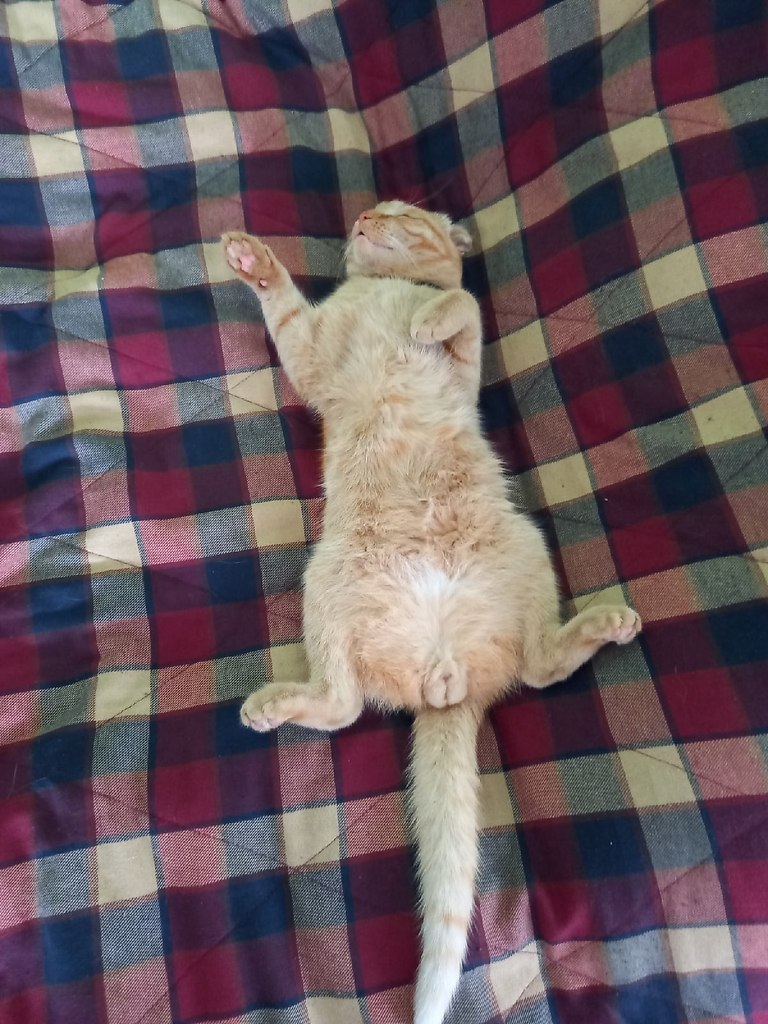  !