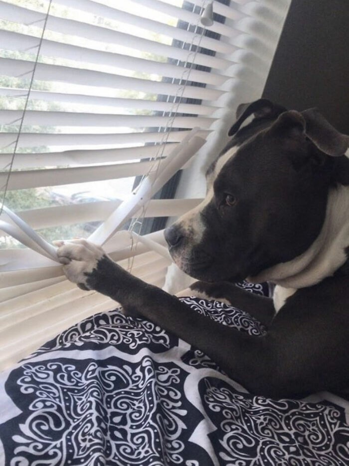 ������������ � ����������))