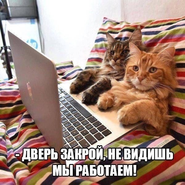    - 18  2022  11:14