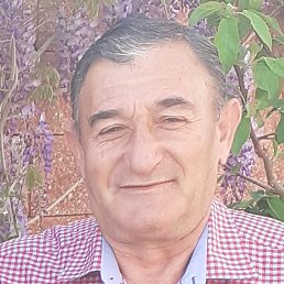 �����, ������, 66 ���