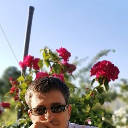 �������, �����-���������, 46 ���