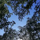 ���� �������, ���������, 65 ��� - ��������� 3 ������ 2023 � ������ ���� ����������
