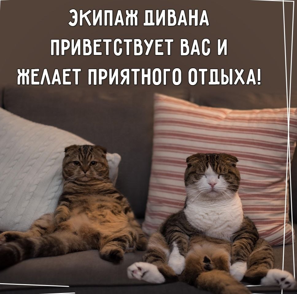   - 29  2022  16:30