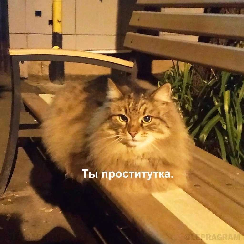 ,    - 3