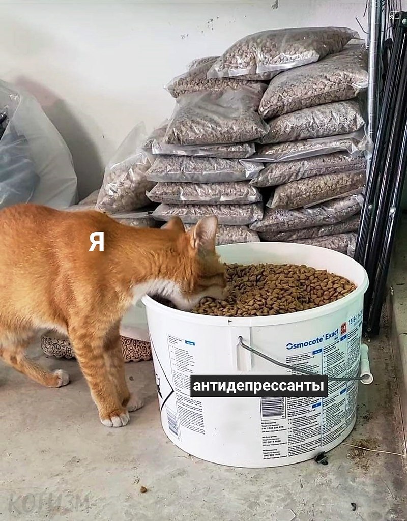  - 19  2022  10:12