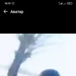 , 37, 