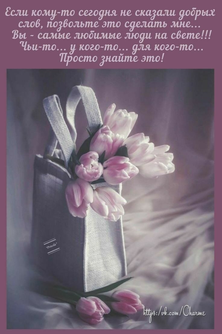 ***Victoria Viktorovna*** - 30  2022  06:26