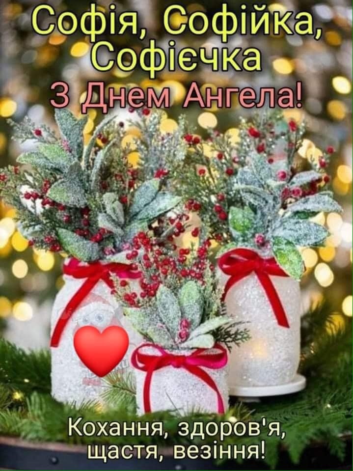 29  -   . ,    ! ,   ...