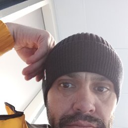 �����, �����������, 43 ����