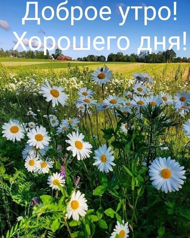  - 10  2022  11:58