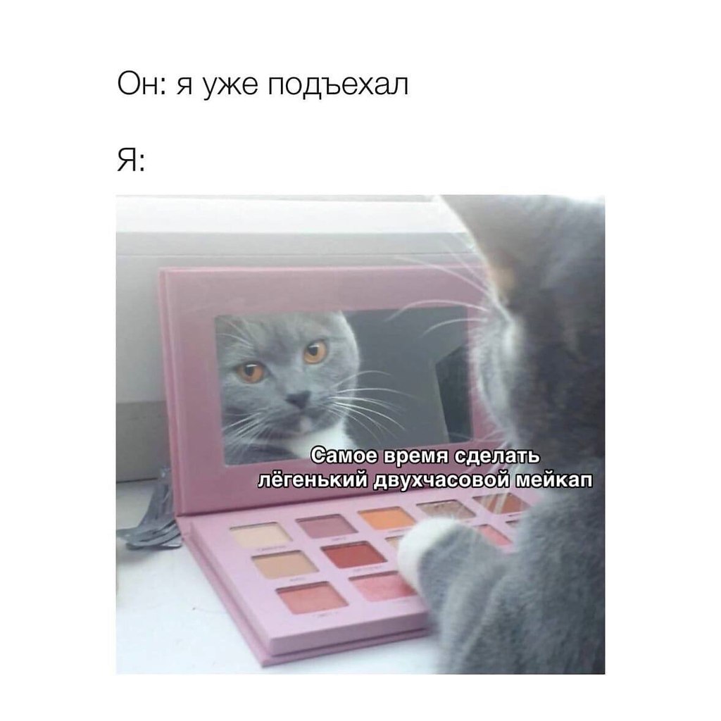    - 24  2022  06:21